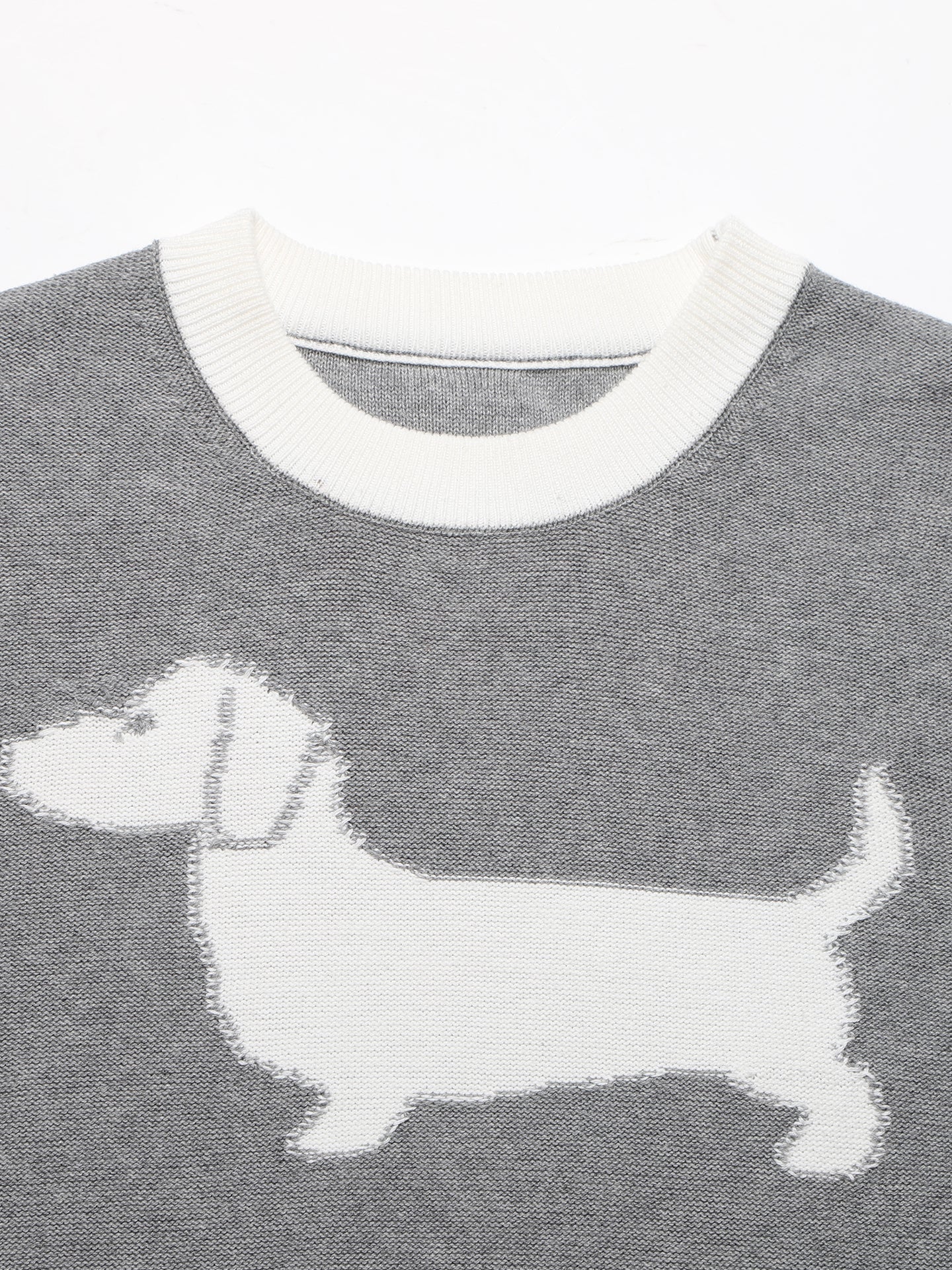 2025SS Puppy Crew Neck Sweater THOM TREND