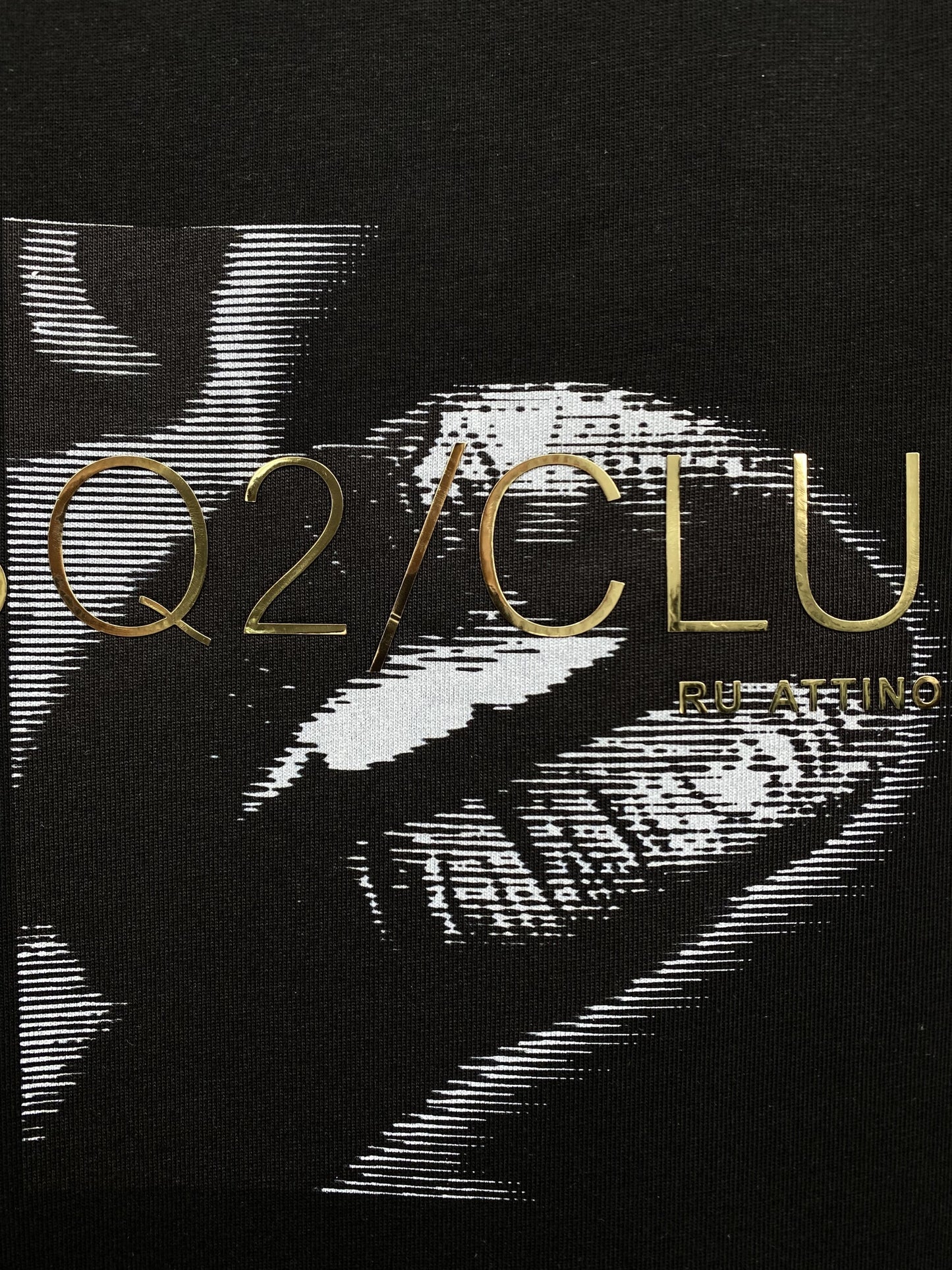 New-D2 26SS ICON Print Hoodie