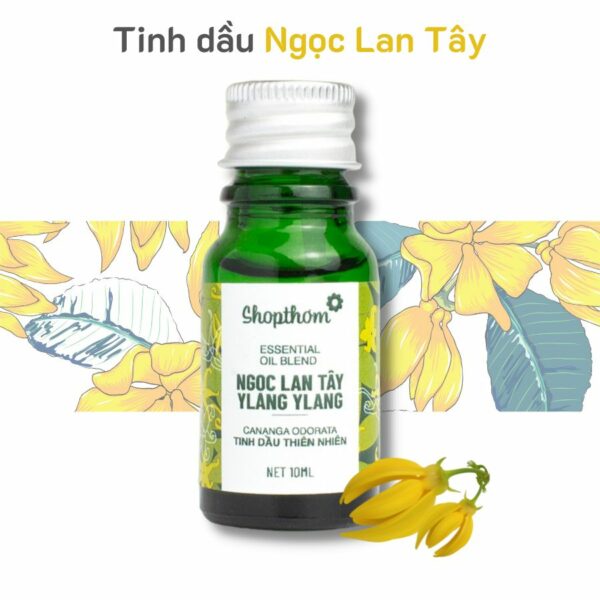Tinh Dầu Ngọc Lan Tây Ylang Ylang - Ảnh 2