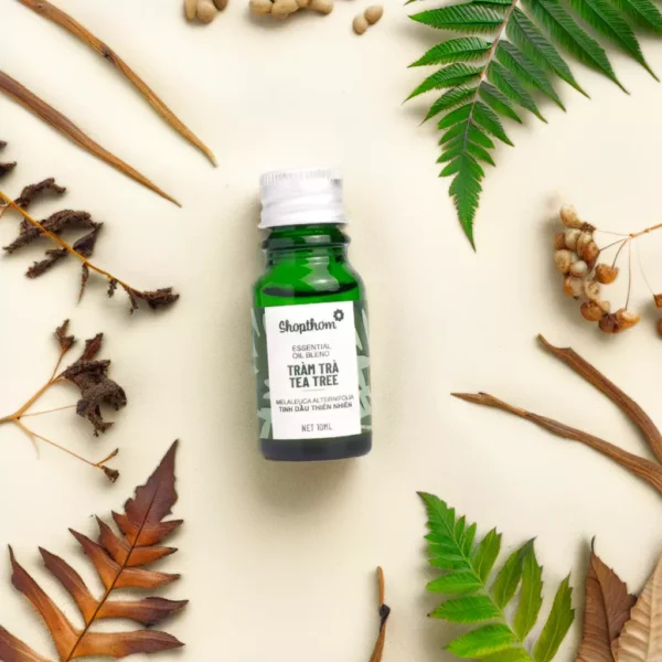 Tinh Dầu Tràm Trà Tea Tree - Ảnh 2