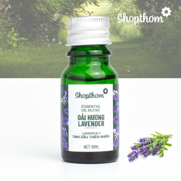 Tinh Dầu Oải Hương Lavender