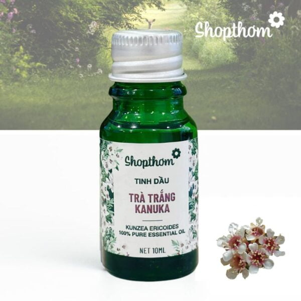 Tinh Dầu Trà Trắng Kanuka