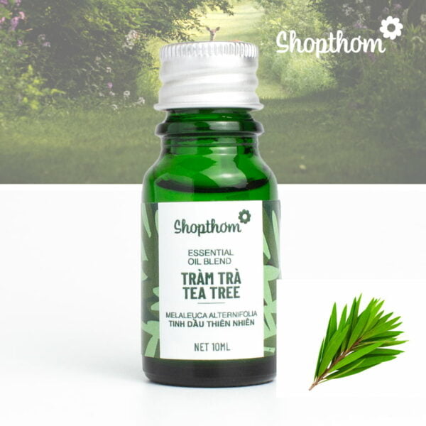 Tinh Dầu Tràm Trà Tea Tree